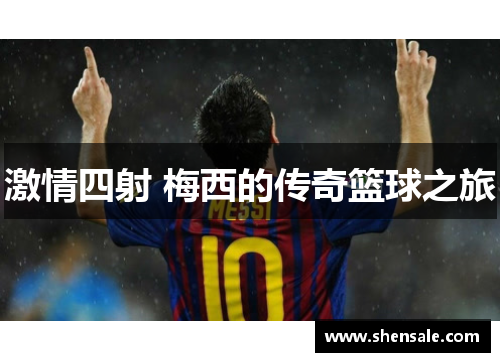 激情四射 梅西的传奇篮球之旅
